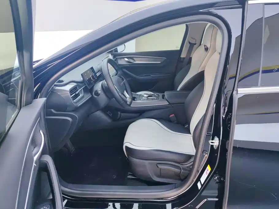 BYD Destroyer 05 2024 DM-i 55KM Luxury