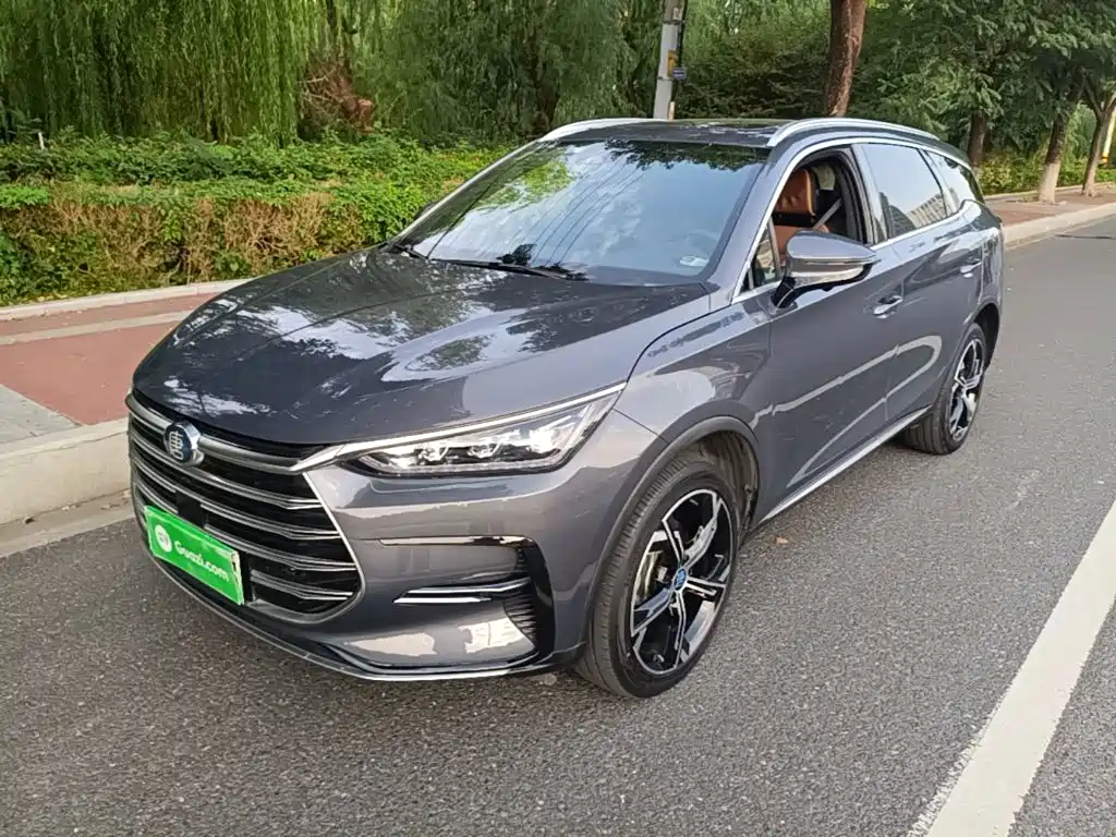 BYD Tang New Energy — миниатюра 2