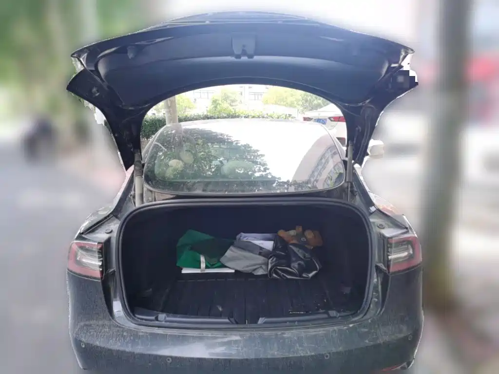 Tesla Model 3 — миниатюра 10