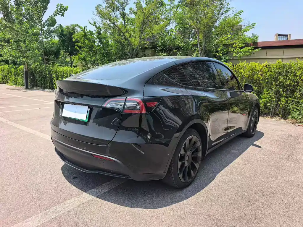 Tesla Model Y — миниатюра 6