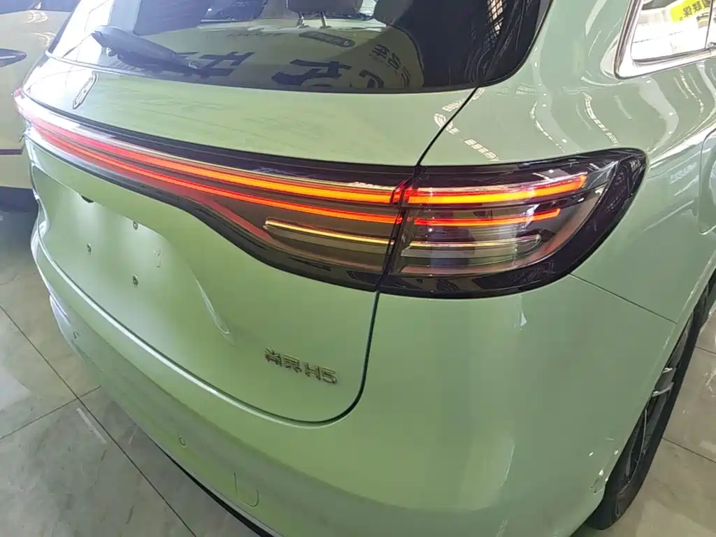 Shangjie Shangjie H5 — миниатюра 8