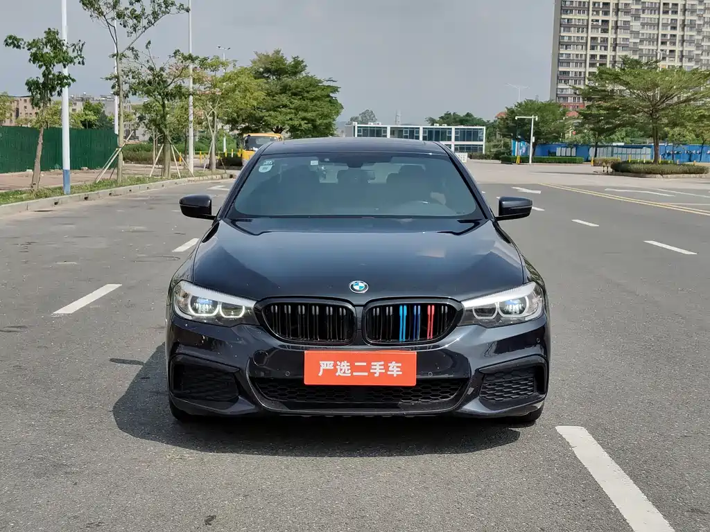 BMW 5 Series (Import) — миниатюра 2