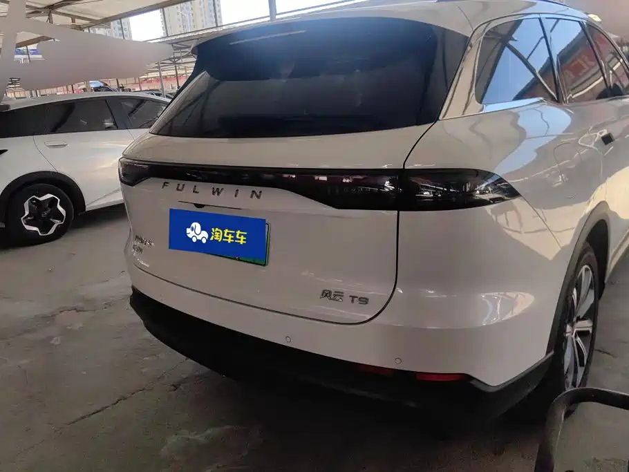Fulwin Fengyun T9 — миниатюра 3