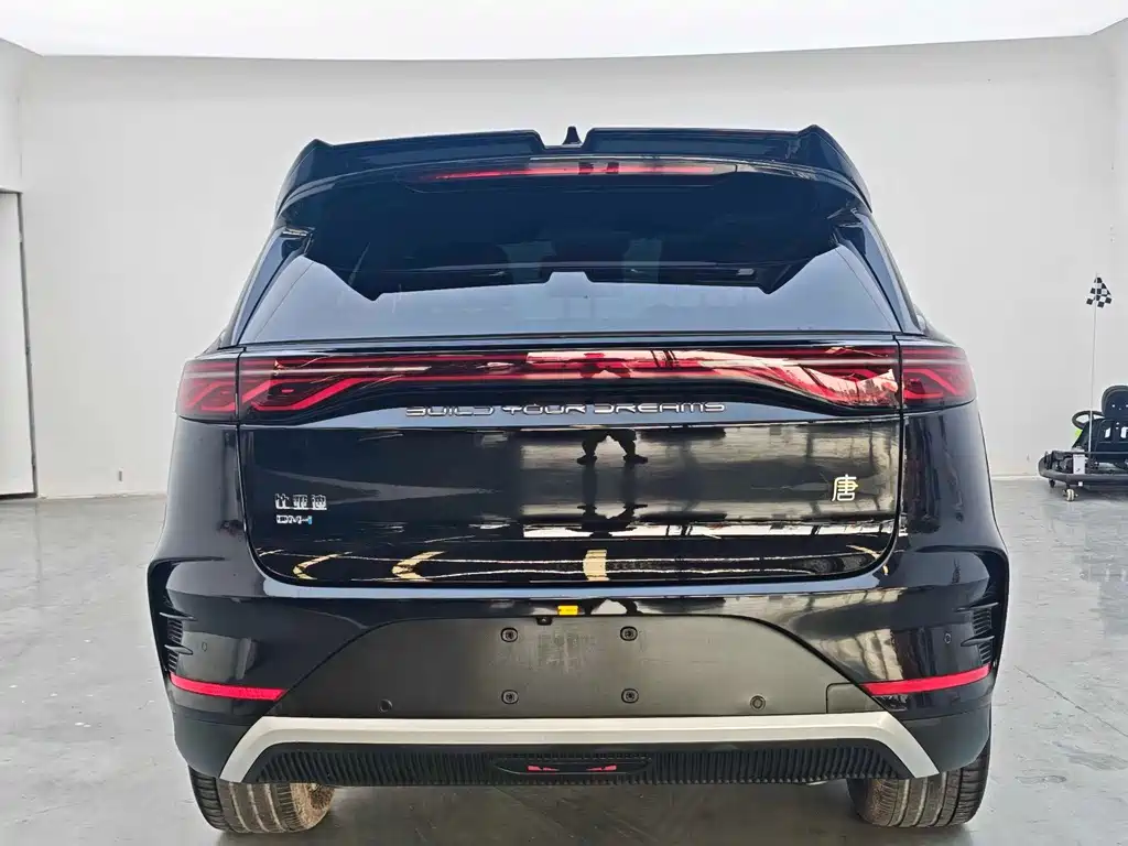 BYD Tang New Energy — миниатюра 8