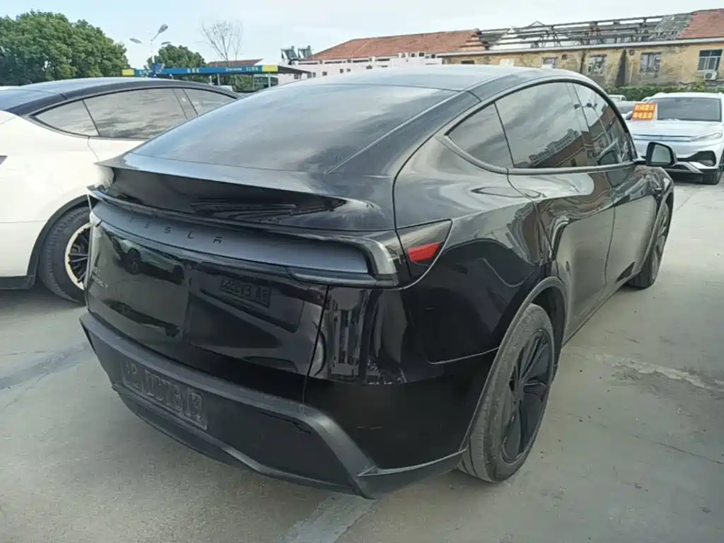 Tesla Model Y — миниатюра 7