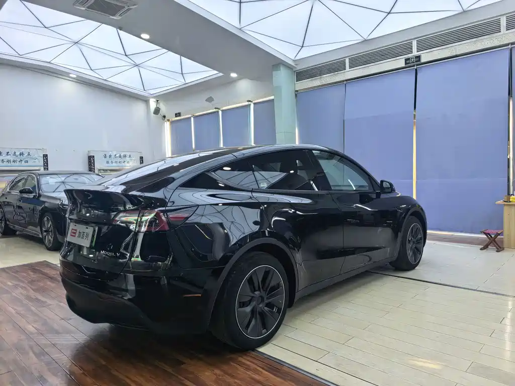 Tesla Model Y — миниатюра 14