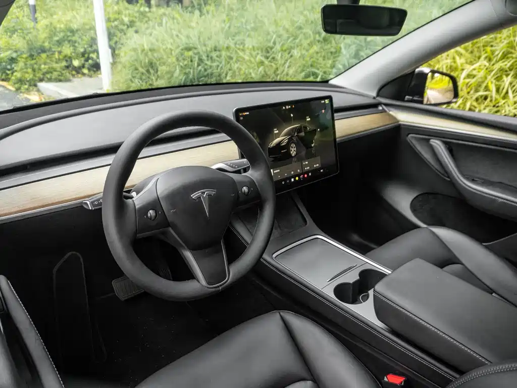 Tesla Model Y — миниатюра 13