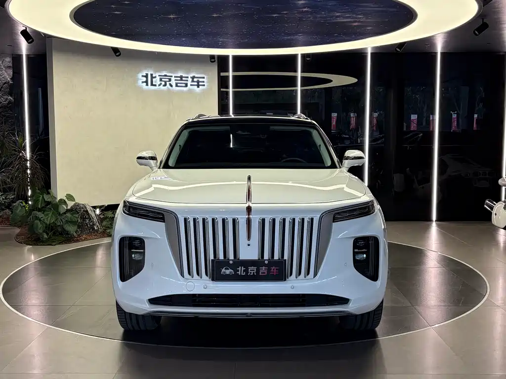 Hongqi Hongqi E-HS9 — миниатюра 3
