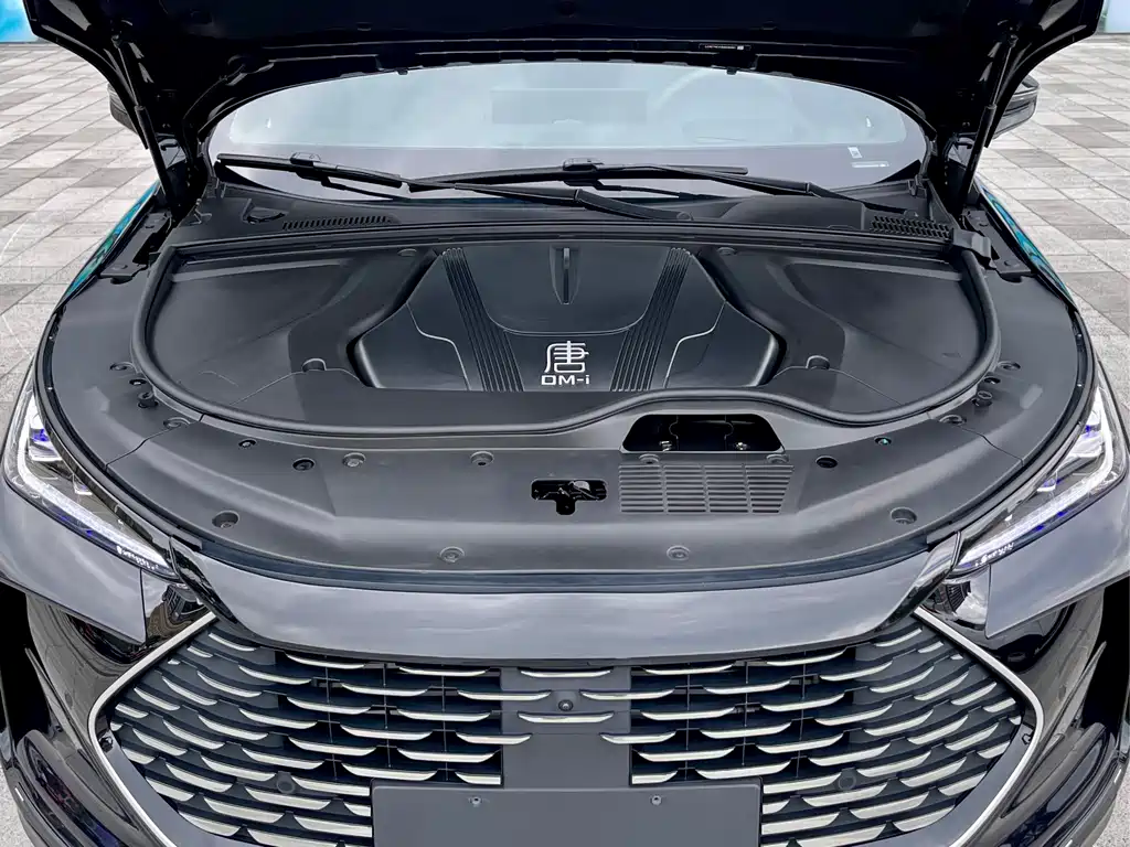BYD Tang New Energy — миниатюра 8