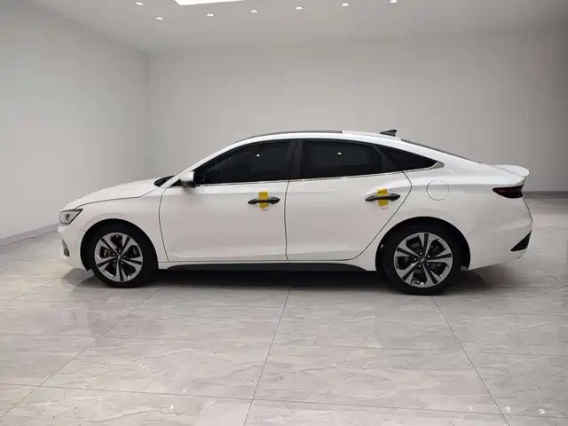 Hyundai Fista — миниатюра 3