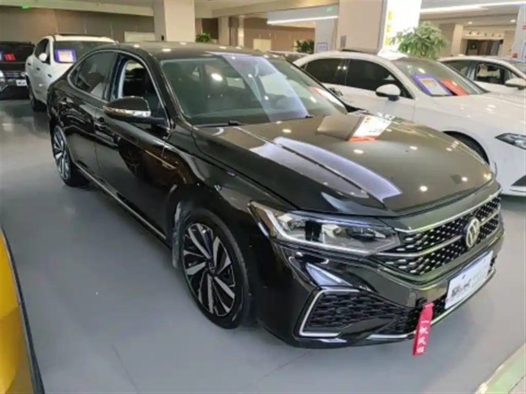 Volkswagen Passat — миниатюра 2