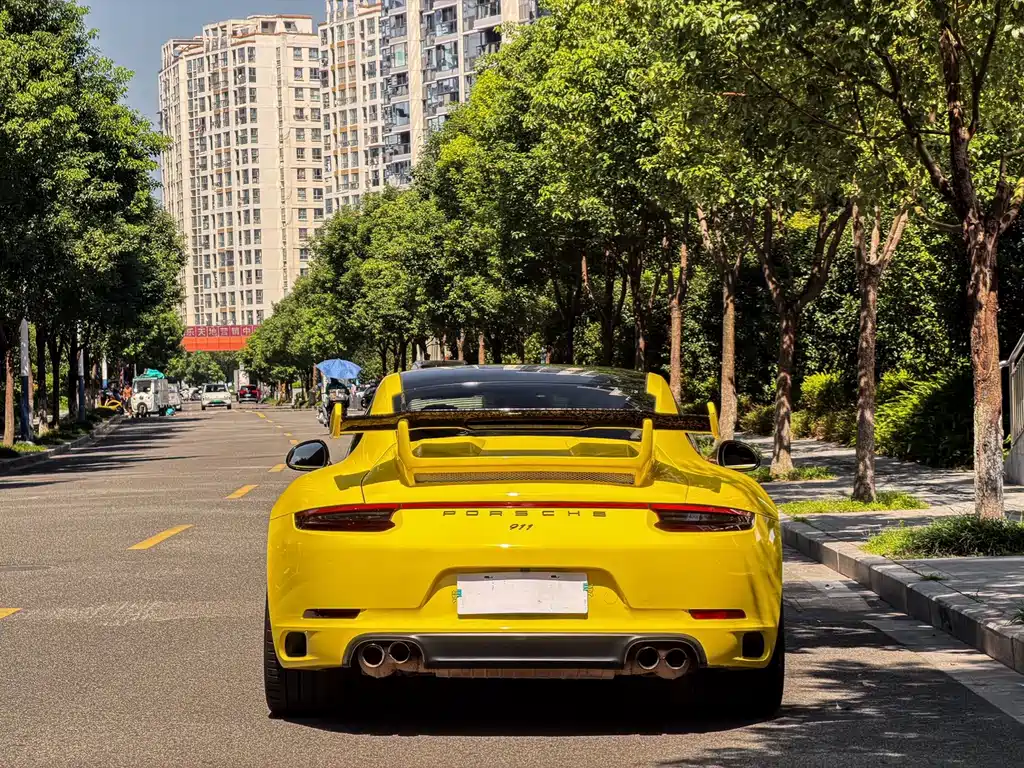 Porsche 911 — миниатюра 13