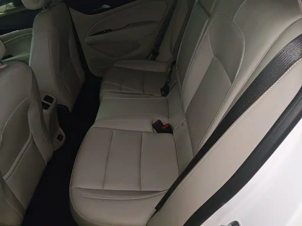 Buick Regal — миниатюра 17