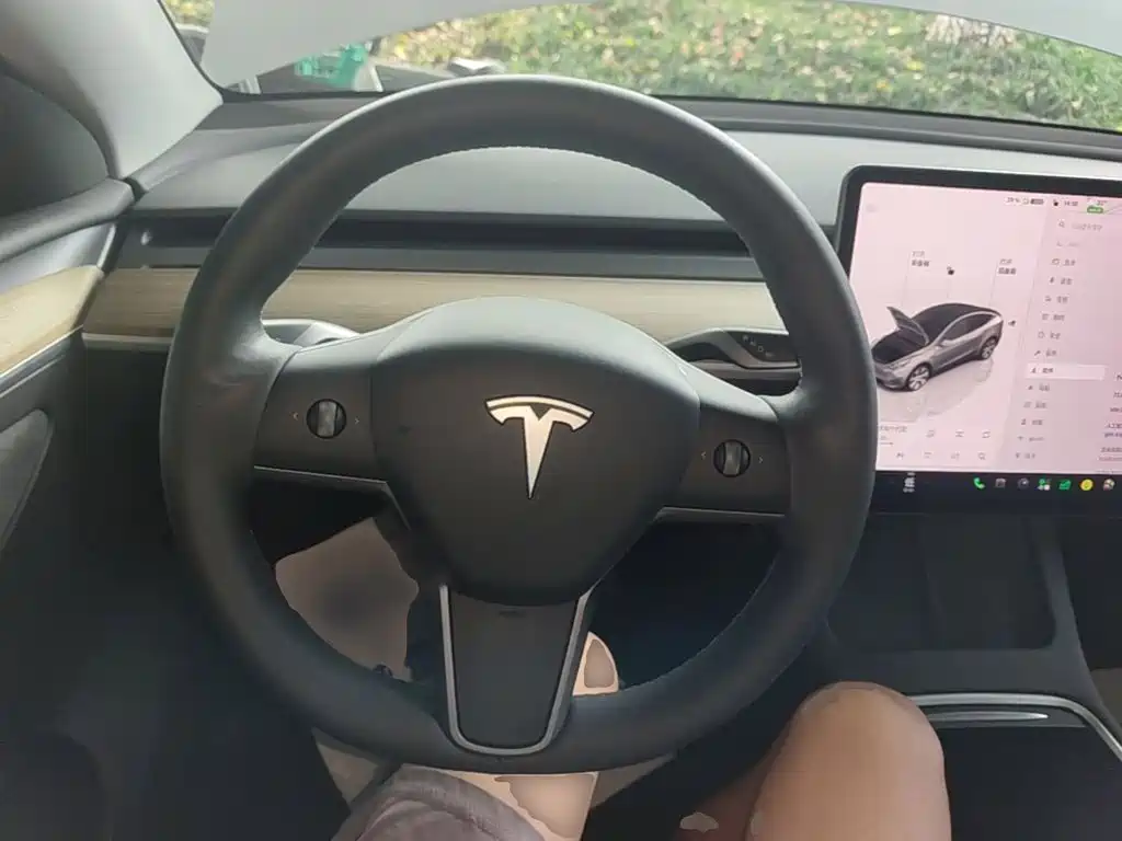 Tesla Model Y — миниатюра 11