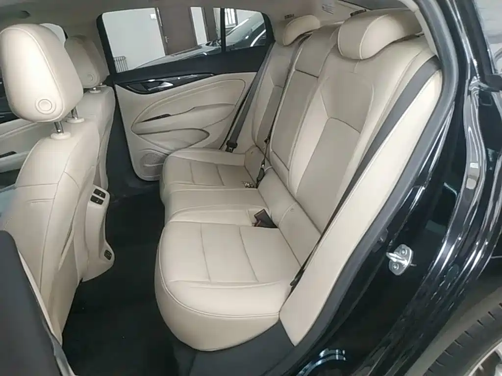 Buick Regal — миниатюра 17