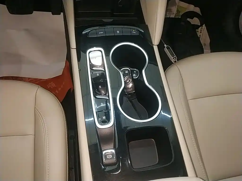 Buick Regal — миниатюра 14