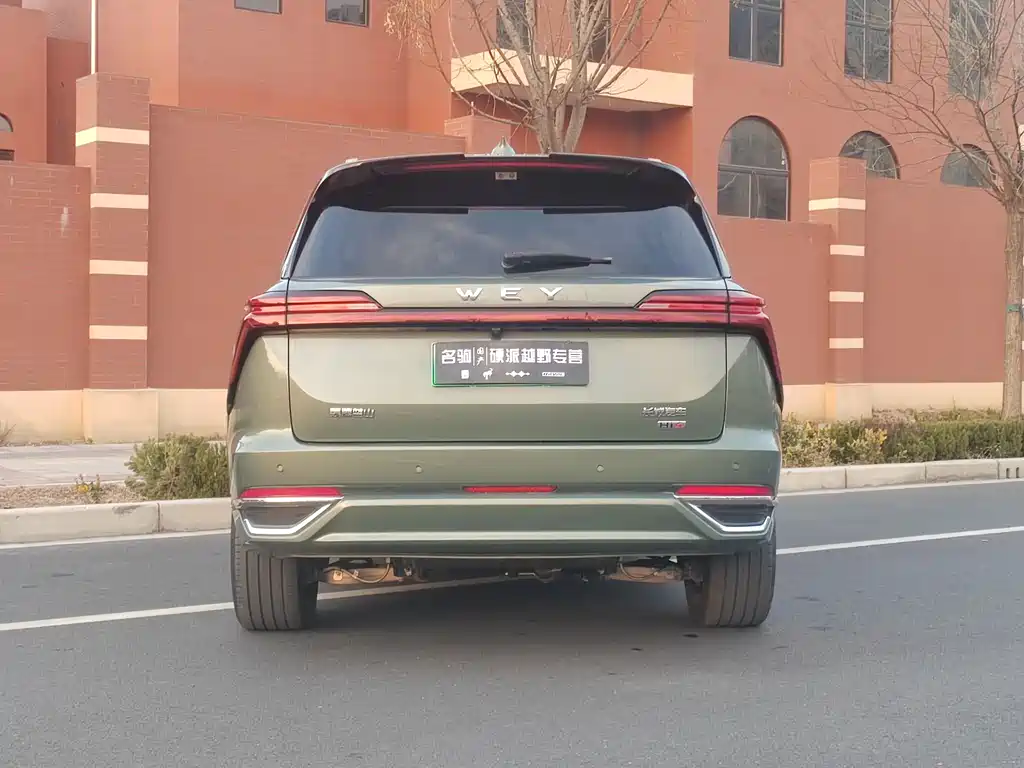 WEI PAI WEI BRAND BLUE MOUNTAIN