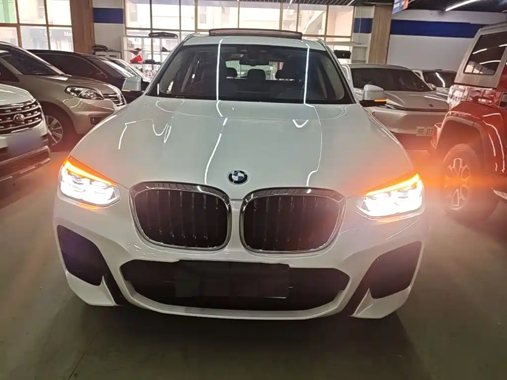 BMW X3 — миниатюра 3