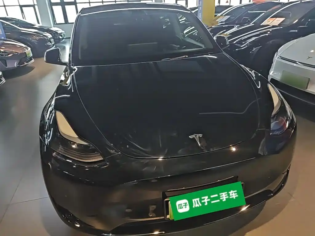Tesla Model Y — миниатюра 3