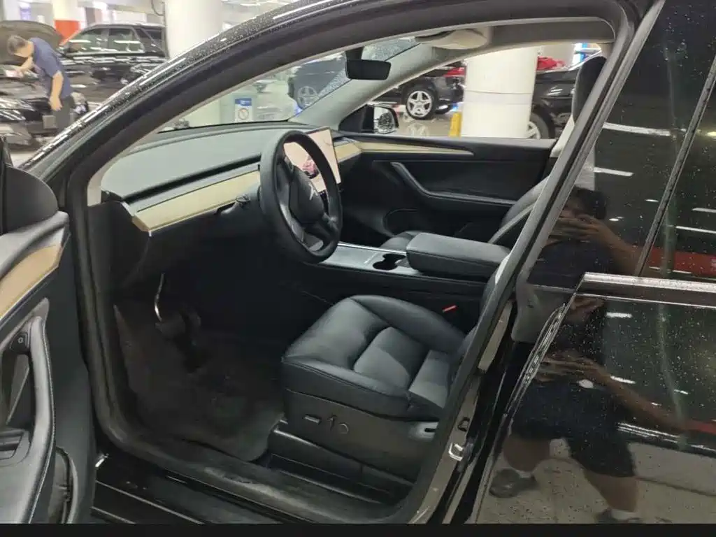 Tesla Model Y — миниатюра 7