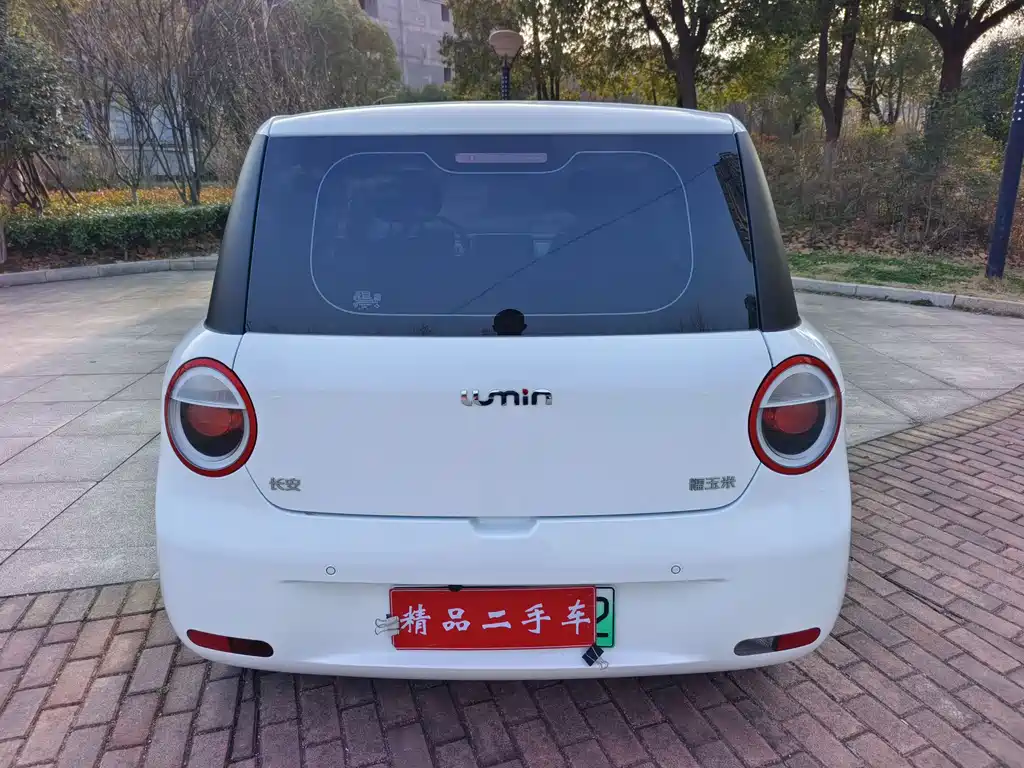 CHANGAN CHANGAN LUMIN