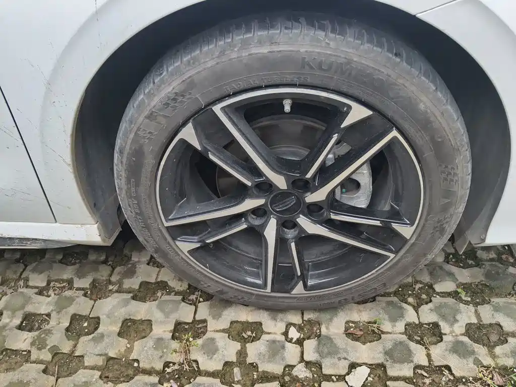 Geely Binrui — миниатюра 8