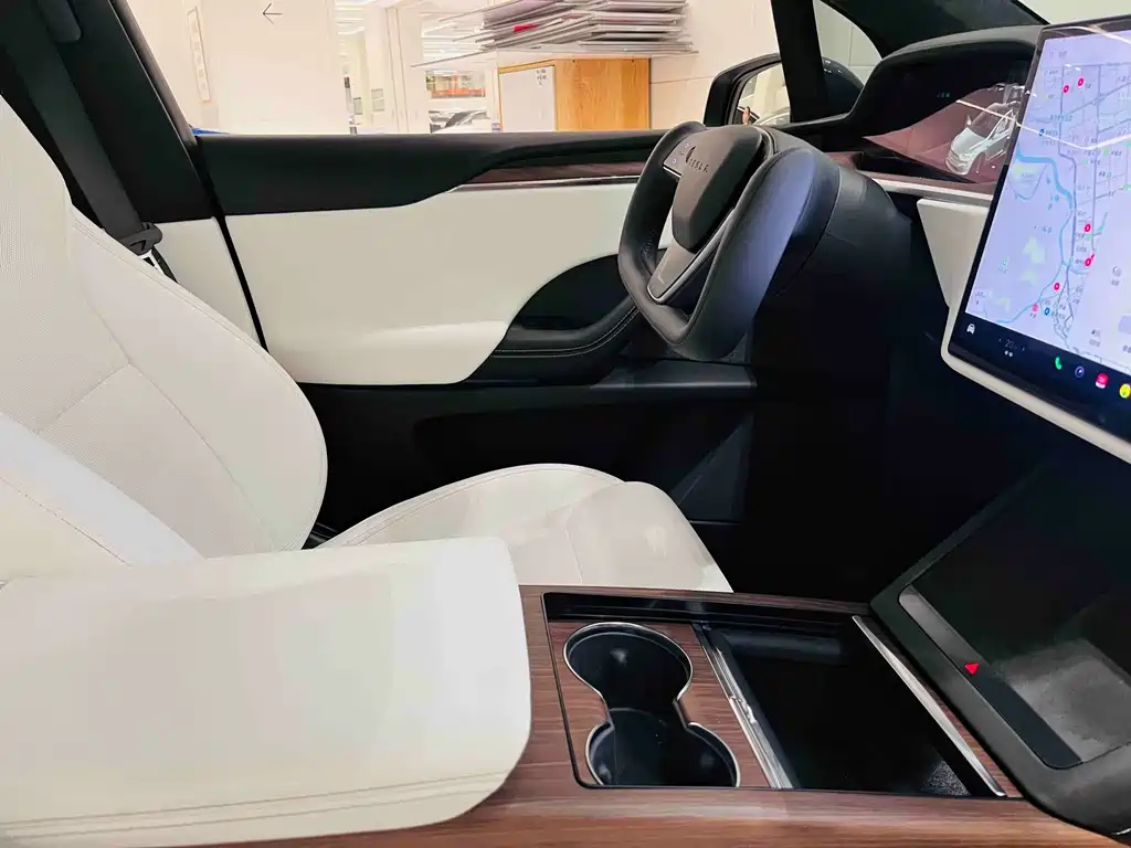 Tesla Model X — миниатюра 10