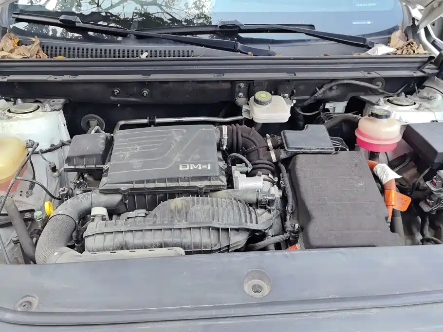 BYD Pro New Energy — миниатюра 10