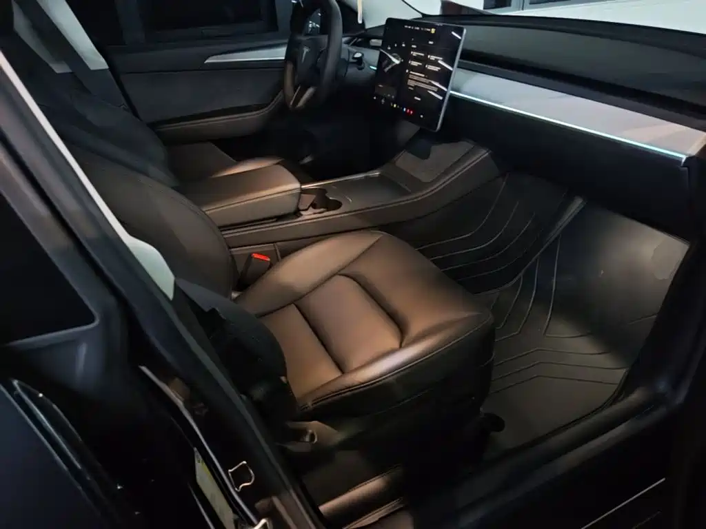 Tesla Model Y — миниатюра 25