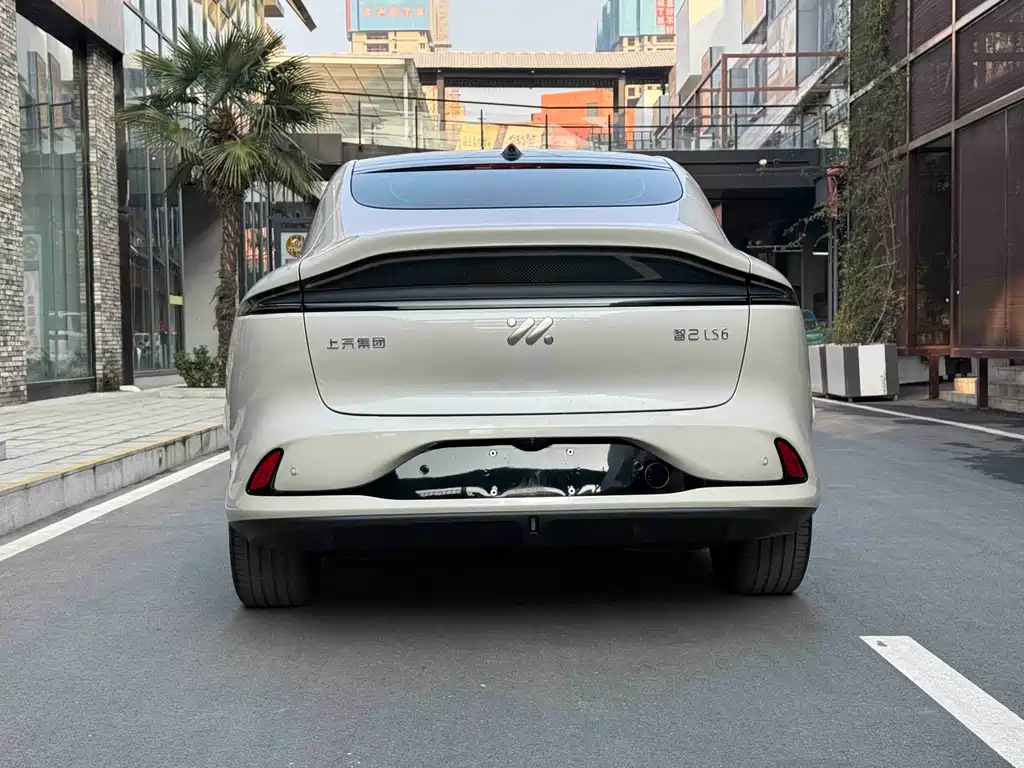 ZHIJI AUTOMOBILE ZHIJI LS6