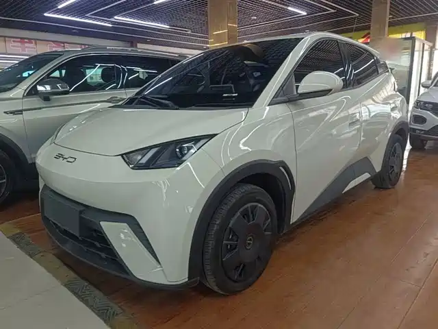 2023 BYD Seagull