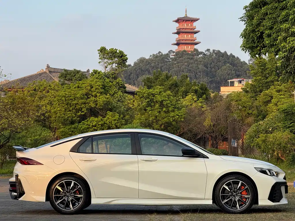 GAC Motor Shadow Leopard — миниатюра 7