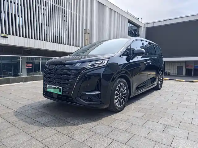 2024 Denza D9