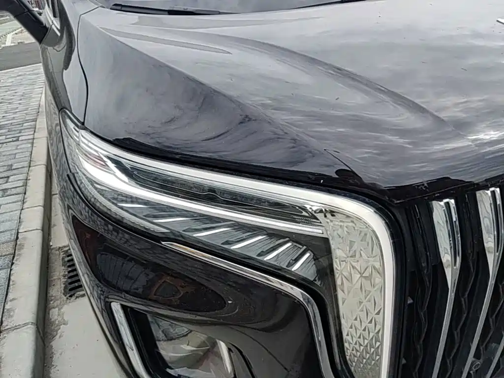 Hongqi Hongqi HQ9 PHEV — миниатюра 11