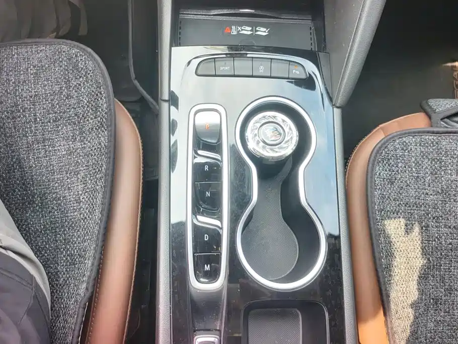Buick Regal — миниатюра 16