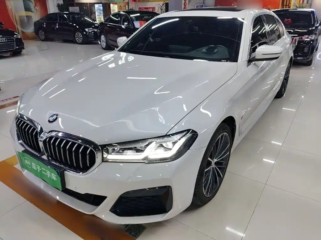 BMW 5 Series — миниатюра 2