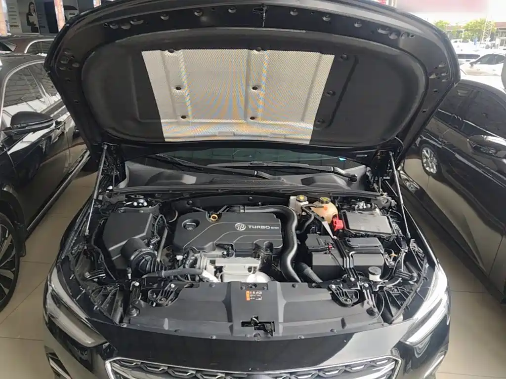 Buick Regal — миниатюра 20