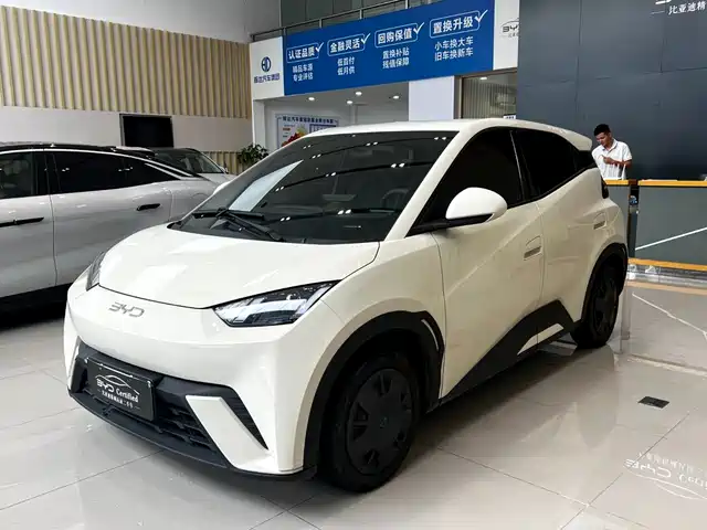2024 BYD Seagull
