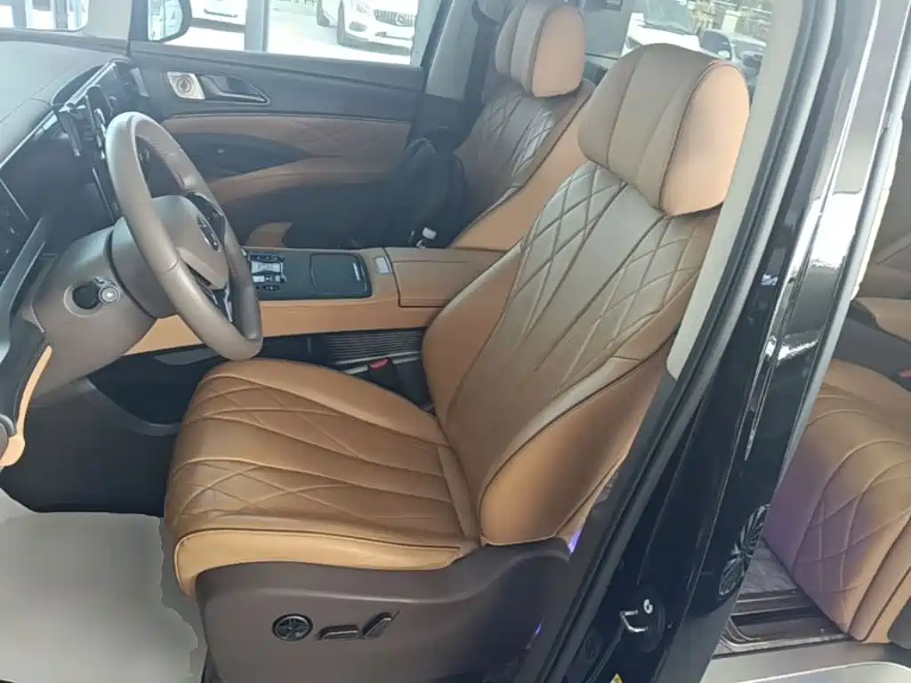 Denza Denza D9 — миниатюра 15