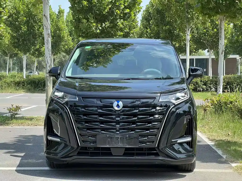 Denza Denza D9 — миниатюра 2