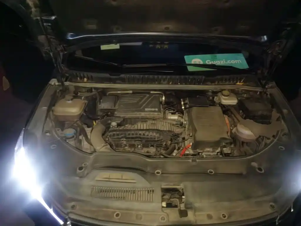 BYD MAX New Energy — миниатюра 11