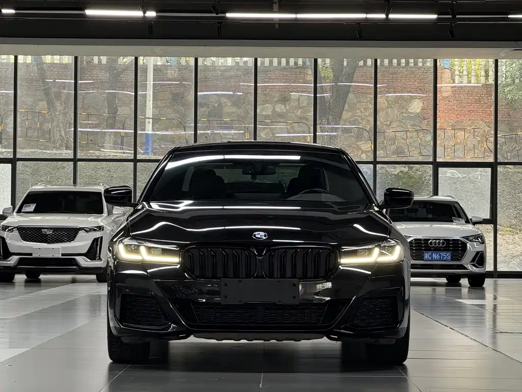 BMW 5 Series — миниатюра 2