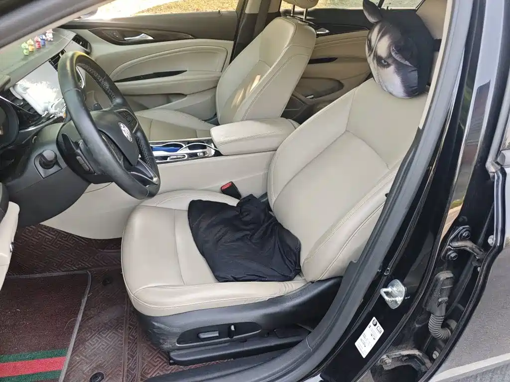 Buick Regal — миниатюра 17