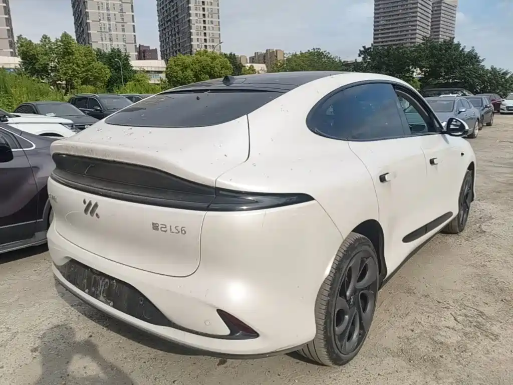 IM IM LS6 — миниатюра 7