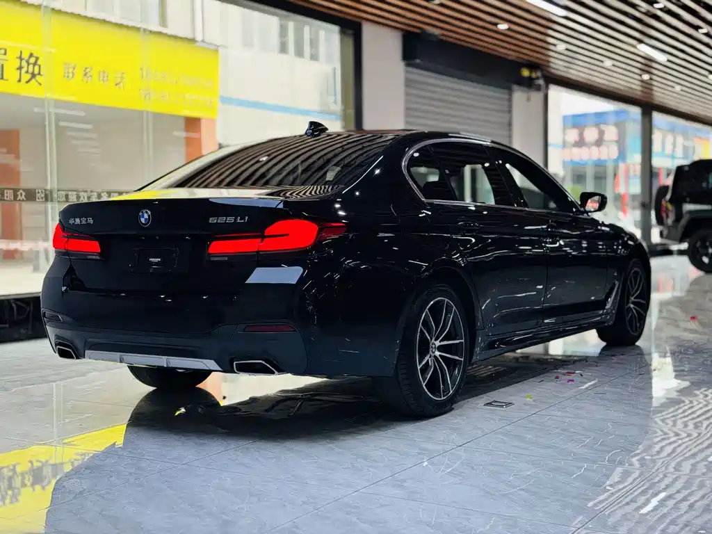 BMW 5 Series — миниатюра 15