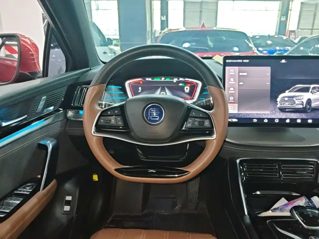 BYD Tang New Energy — миниатюра 11