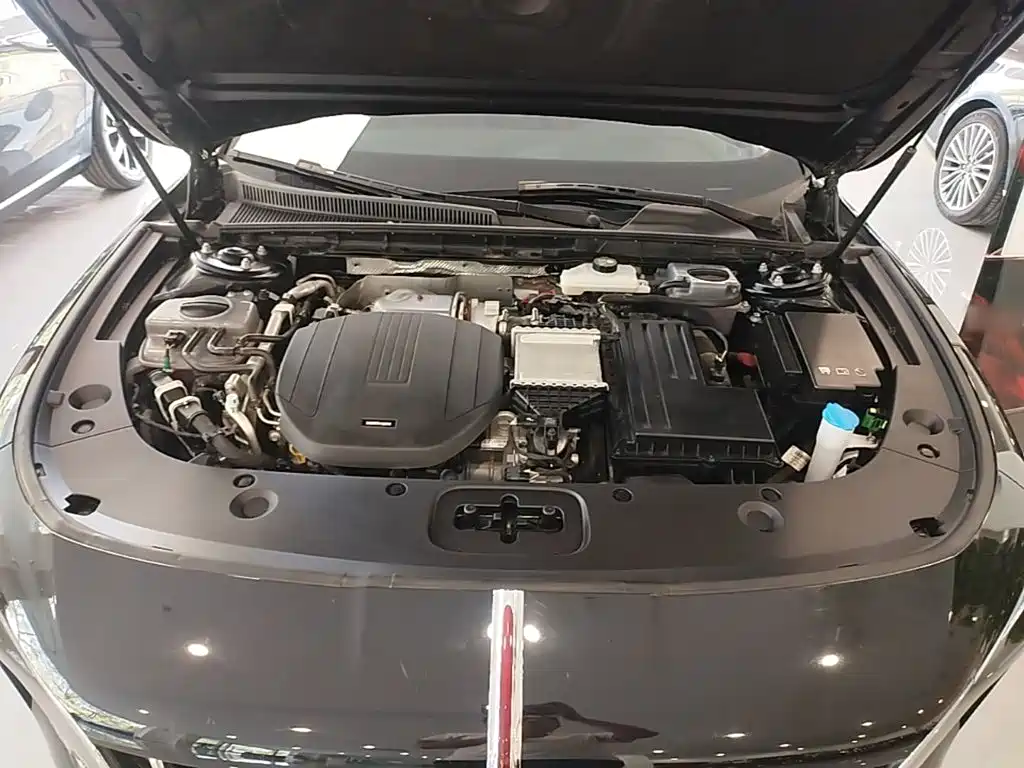 Hongqi Hongqi H5 PHEV — миниатюра 20