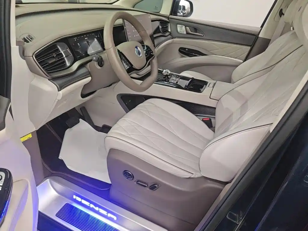 Denza Denza D9 — миниатюра 15