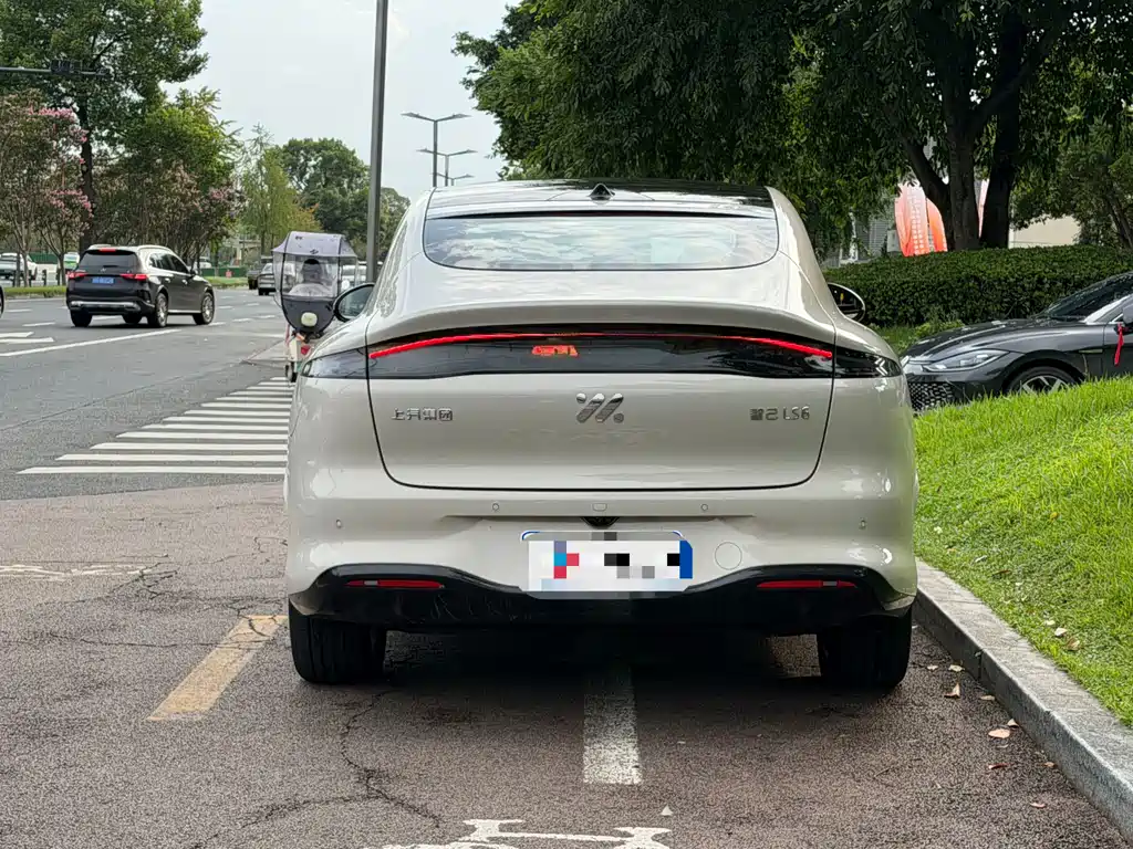 IM IM LS6 — миниатюра 11