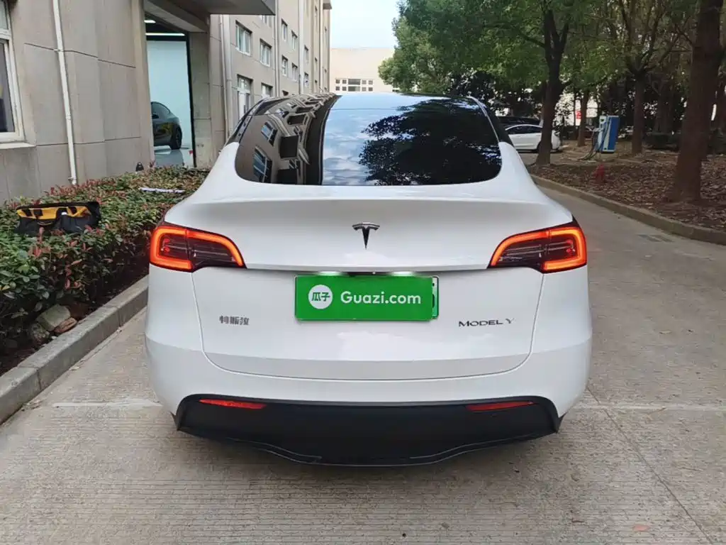 Tesla Model Y — миниатюра 6